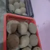 isabellaabdullah5 - @isabellaabdullah5 - TikTok