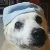 Isabella Bacci152 - @isabellabacci3 - TikTok