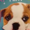 Isabella_bacci - @isabella_bacci - TikTok