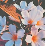 Isabella Bain - Facebook