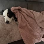 Isabelle Bain - Facebook