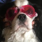 Isabella Baughman - @the_bee_of_knees - Instagram
