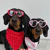 Bella & Bean the silly weens - @isabellaandbean - TikTok