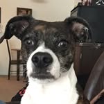 Isabella Bean - @missisabellabean - Instagram