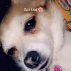 💗🌸Isabella Bean🌸💗 - @isabellabean6704 - TikTok