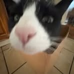 Isabella Beyer - Facebook