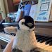 Isabella Bird - Facebook