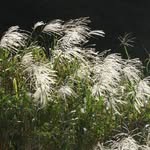 Isabella Bolton - @isabellabolton293 - Instagram