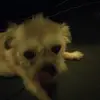 Isabella Booth - @bellaz.secrett - TikTok