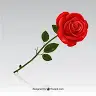 Isabella Booth - @user838935265 - TikTok