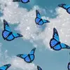isabellaborg27 - @isabellaborg27 - TikTok