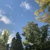 Isabella Conner - @isabella.conner1 - TikTok
