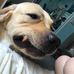 Isabella Cooley - Facebook