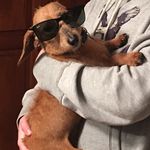 Isabella Cooley - @savage_weenie - Instagram