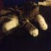 Isabella Coyle - Facebook