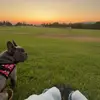 isabelladaugherty6 - @isabelladaugherty6 - TikTok