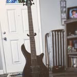 Isabella Davidson - @dogmogfrog - Instagram