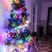 Isabela Stefania Tuja - Facebook
