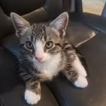 Isabella Dodge - @isabella.dodge1959 - Instagram