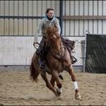 Isabelle Eckert - @isabelle_dodge_horsemanship - Instagram