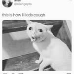 Isabella Erickson - @isabella12erickson - Instagram