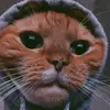 IsabellaErickson - @isabellaericksonvelfgjgg - TikTok