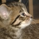 isabella Ferrell - @ferrell.isabella - Instagram