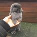 Isabella Galloway - Facebook