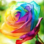 Isabella Galvan - Facebook