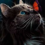 Isabella Grasso - @isabella.grasso28 - Instagram