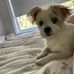 Isabella Grasso - Facebook
