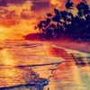 isabella123  - @isabella_hebert_2 - TikTok