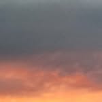 Isabella Hedrick - @isabella.hedrick.50 - Instagram