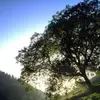 isabellahess863 - @isabellahess863 - TikTok