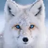 ❤️‍🩹Kiki Hoffmann❤️‍🩹 - @isabellahoff2024 - TikTok