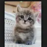 Isabella Hull - @user438317759 - TikTok
