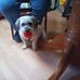 Isabelle Hull - Facebook
