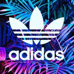 Isabella Keller - @keller6563 - Instagram