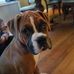 Isabella Link - Facebook