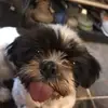 Isabella Mack - @imackart0 - TikTok
