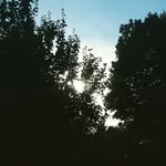 isabelle  maynard - @maynardisabelle - Instagram
