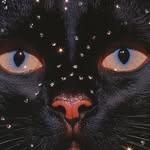 🐈‍⬛ - @isabellamccartneyyy - Instagram