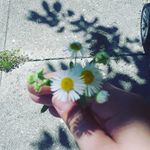 Isabella McDowell - @isabella__mcdowell - Instagram