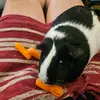 Isabella Mckee - @isabella.mckee8 - TikTok