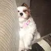Isabella Mckee - @.frizzydizzyizzy - TikTok