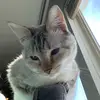 isabella.mcleod - @isabella.__me - TikTok