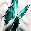Isabella Meadows - @holliemeadows - TikTok