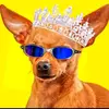 isabella Munson - @editsdaisa_097 - TikTok