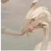 Isabella💗🫧 - @isabella.nelson39 - TikTok