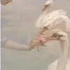 Isabella Nelson💗⭐️ - @isabella.nelson69 - TikTok